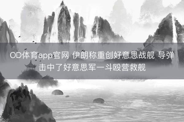 OD体育app官网 伊朗称重创好意思战舰 导弹击中了好意思军一斗殴营救舰