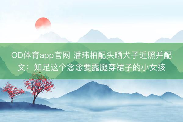 OD体育app官网 潘玮柏配头晒犬子近照并配文：知足这个念念要露腿穿裙子的小女孩