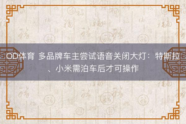 OD体育 多品牌车主尝试语音关闭大灯：特斯拉、小米需泊车后才可操作