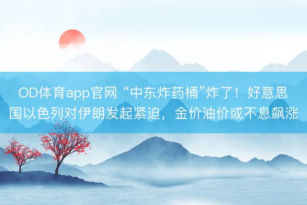 OD体育app官网 “中东炸药桶”炸了!好意思国以色列对伊朗发起紧迫,金价油价或不息飙涨