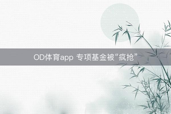 OD体育app 专项基金被“疯抢”