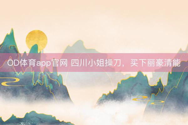 OD体育app官网 四川小姐操刀，买下丽豪清能
