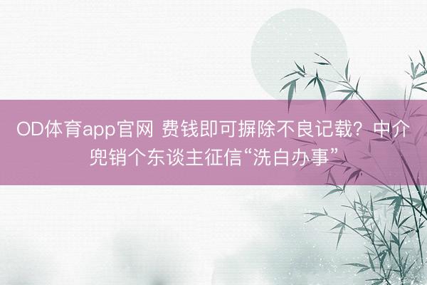 OD体育app官网 费钱即可摒除不良记载？中介兜销个东谈主征信“洗白办事”