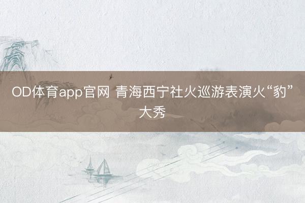 OD体育app官网 青海西宁社火巡游表演火“豹”大秀