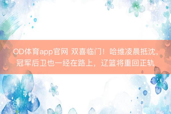OD体育app官网 双喜临门！哈维凌晨抵沈，冠军后卫也一经在路上，辽篮将重回正轨