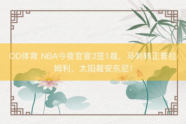 OD体育 NBA今夜官宣3签1裁，马刺转正普拉姆利，太阳裁安东尼！