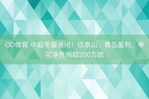 OD体育 中超冬窗关闭！仅泰山、青岛盈利，申花净开销超200万欧