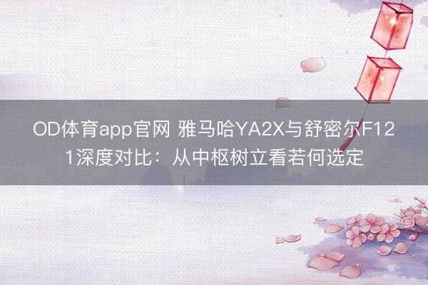OD体育app官网 雅马哈YA2X与舒密尔F121深度对比:从中枢树立看若何选定