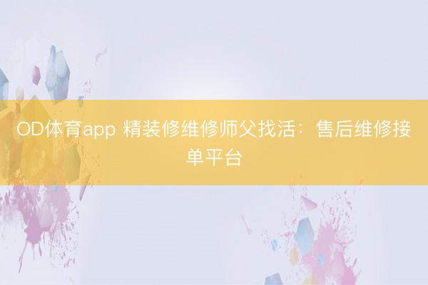 OD体育app 精装修维修师父找活：售后维修接单平台