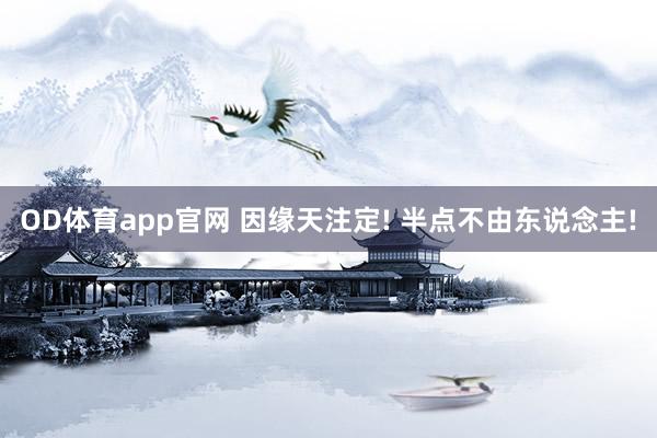OD体育app官网 因缘天注定! 半点不由东说念主!