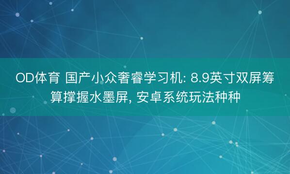 OD体育 国产小众奢睿学习机: 8.9英寸双屏筹算撑握水墨屏, 安卓系统玩法种种