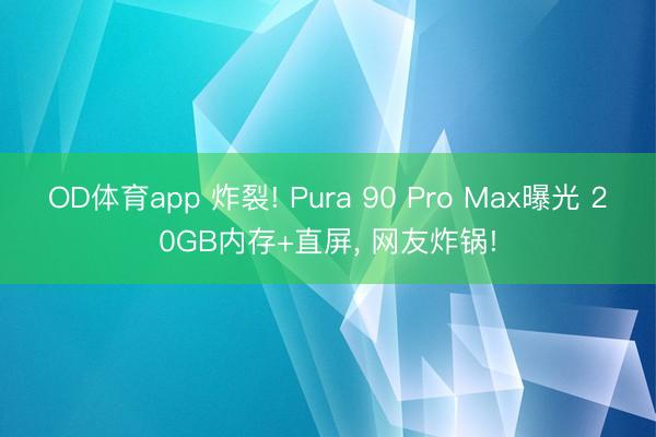 OD体育app 炸裂! Pura 90 Pro Max曝光 20GB内存+直屏， 网友炸锅!