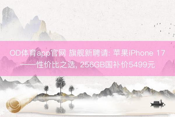 OD体育app官网 旗舰新聘请: 苹果iPhone 17——性价比之选, 256GB国补价5499元