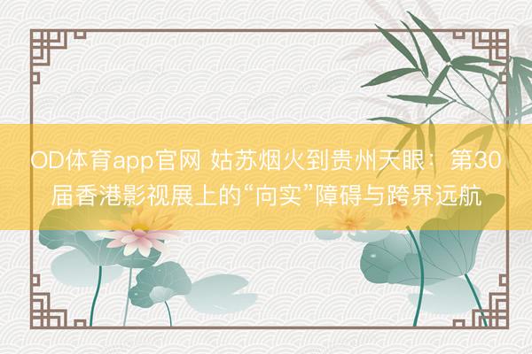 OD体育app官网 姑苏烟火到贵州天眼：第30届香港影视展上的“向实”障碍与跨界远航