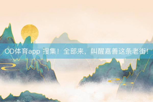 OD体育app 搜集！全部来，叫醒嘉善这条老街！