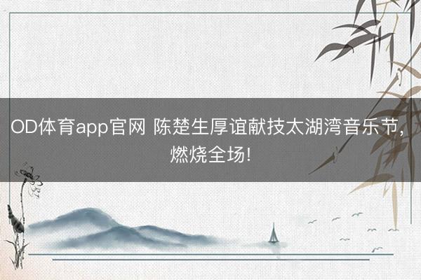 OD体育app官网 陈楚生厚谊献技太湖湾音乐节， 燃烧全场!