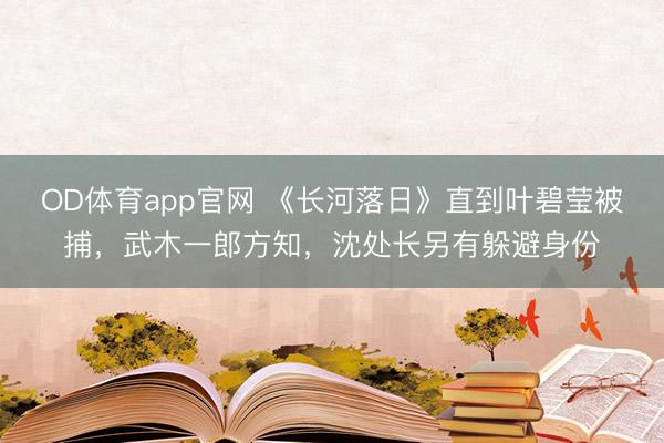 OD体育app官网 《长河落日》直到叶碧莹被捕，武木一郎方知，沈处长另有躲避身份