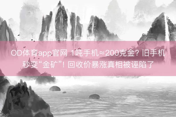 OD体育app官网 1吨手机≈200克金? 旧手机秒变“金矿”! 回收价暴涨真相被诬陷了