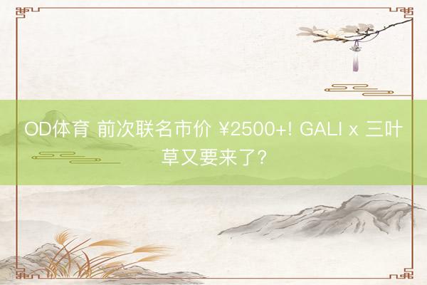 OD体育 前次联名市价 ¥2500+! GALI x 三叶草又要来了?