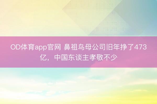 OD体育app官网 鼻祖鸟母公司旧年挣了473亿，中国东谈主孝敬不少