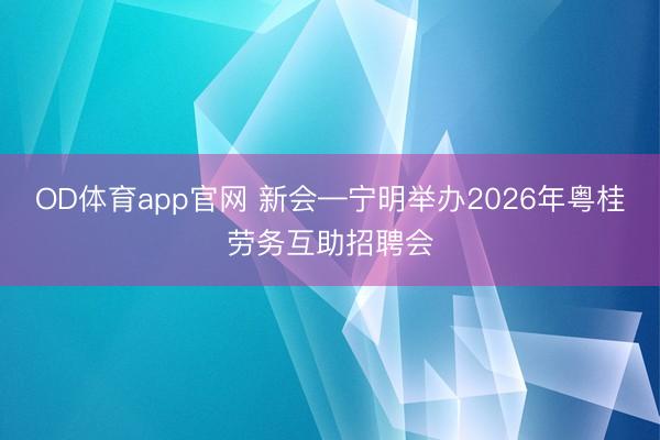 OD体育app官网 新会—宁明举办2026年粤桂劳务互助招聘会
