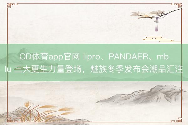 OD体育app官网 lipro、PANDAER、mblu 三大更生力量登场,魅族冬季发布会潮品汇注