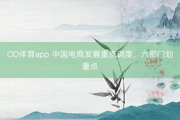 OD体育app 中国电商发展重点调度,六部门划重点