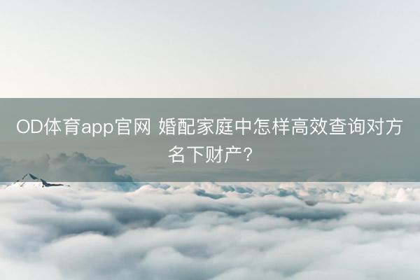 OD体育app官网 婚配家庭中怎样高效查询对方名下财产?