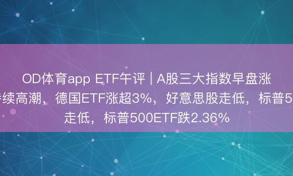 OD体育app ETF午评 | A股三大指数早盘涨跌不一,德股持续高潮,德国ETF涨超3%,好意思股走低,标普500ETF跌2.36%