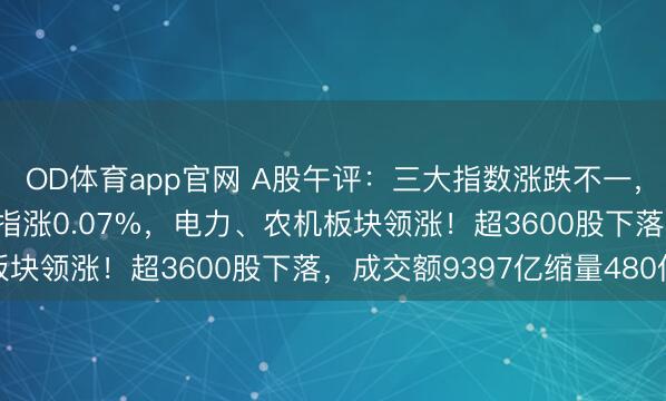 OD体育app官网 A股午评:三大指数涨跌不一,沪指跌0.06%创业板指涨0.07%,电力、农机板块领涨!超3600股下落,成交额9397亿缩量480亿