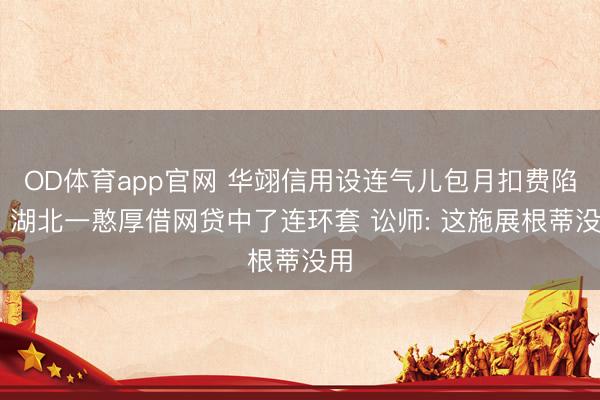 OD体育app官网 华翊信用设连气儿包月扣费陷坑 湖北一憨厚借网贷中了连环套 讼师: 这施展根蒂没用