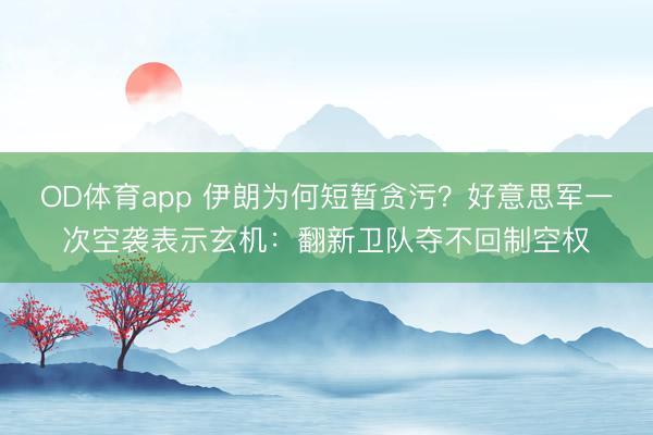 OD体育app 伊朗为何短暂贪污?好意思军一次空袭表示玄机:翻新卫队夺不回制空权