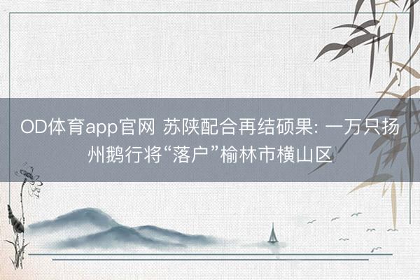OD体育app官网 苏陕配合再结硕果: 一万只扬州鹅行将“落户”榆林市横山区