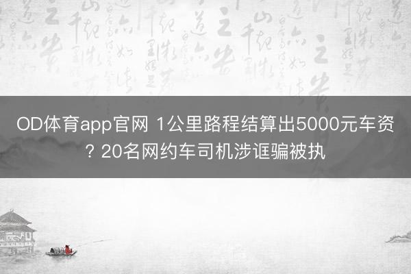 OD体育app官网 1公里路程结算出5000元车资? 20名网约车司机涉诓骗被执