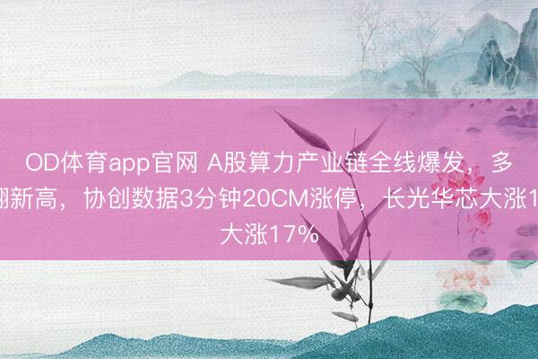 OD体育app官网 A股算力产业链全线爆发,多股翻新高,协创数据3分钟20CM涨停,长光华芯大涨17%