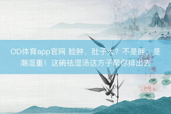 OD体育app官网 脸肿、肚子大？不是胖，是潮湿重！这碗祛湿汤这方子帮你排出去