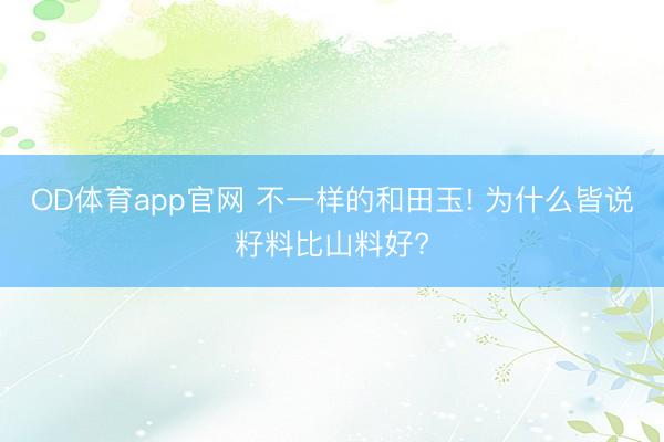 OD体育app官网 不一样的和田玉! 为什么皆说籽料比山料好?