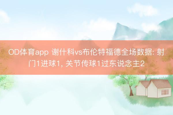 OD体育app 谢什科vs布伦特福德全场数据: 射门1进球1， 关节传球1过东说念主2