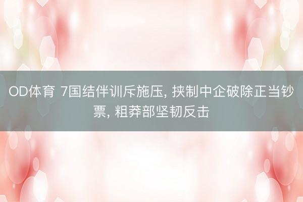 OD体育 7国结伴训斥施压， 挟制中企破除正当钞票， 粗莽部坚韧反击