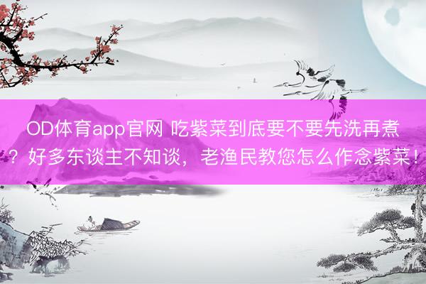 OD体育app官网 吃紫菜到底要不要先洗再煮？好多东谈主不知谈，老渔民教您怎么作念紫菜！