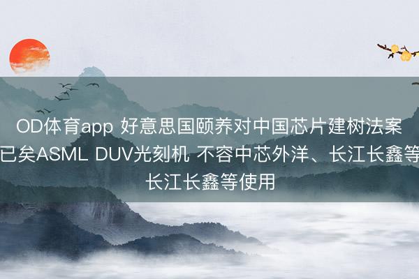 OD体育app 好意思国颐养对中国芯片建树法案：仍已矣ASML DUV光刻机 不容中芯外洋、长江长鑫等使用