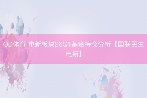OD体育 电新板块26Q1基金持仓分析【国联民生电新】