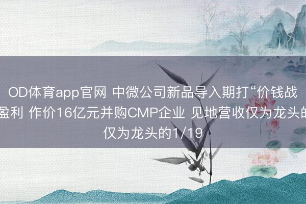 OD体育app官网 中微公司新品导入期打“价钱战”影响盈利 作价16亿元并购CMP企业 见地营收仅为龙头的1/19