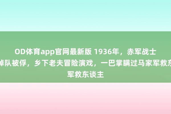 OD体育app官网最新版 1936年，赤军战士病重掉队被俘，乡下老夫冒险演戏，一巴掌瞒过马家军救东谈主