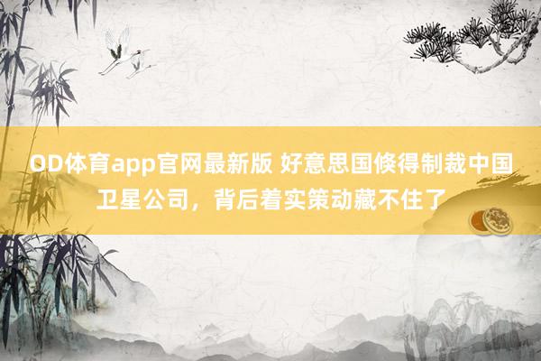 OD体育app官网最新版 好意思国倏得制裁中国卫星公司，背后着实策动藏不住了