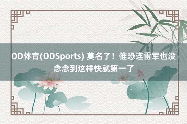 OD体育(ODSports) 莫名了！惟恐连雷军也没念念到这样快就第一了