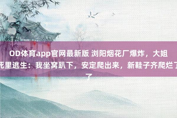 OD体育app官网最新版 浏阳烟花厂爆炸，大姐死里逃生：我坐窝趴下，安定爬出来，新鞋子齐爬烂了