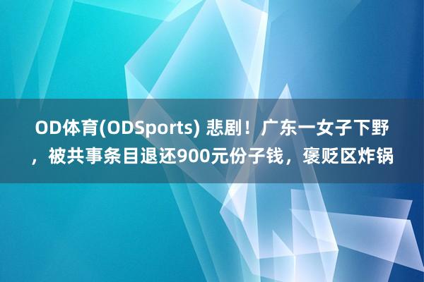OD体育(ODSports) 悲剧！广东一女子下野，被共事条目退还900元份子钱，褒贬区炸锅