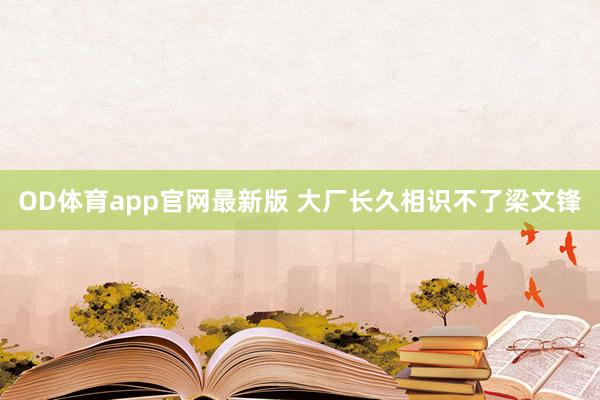 OD体育app官网最新版 大厂长久相识不了梁文锋