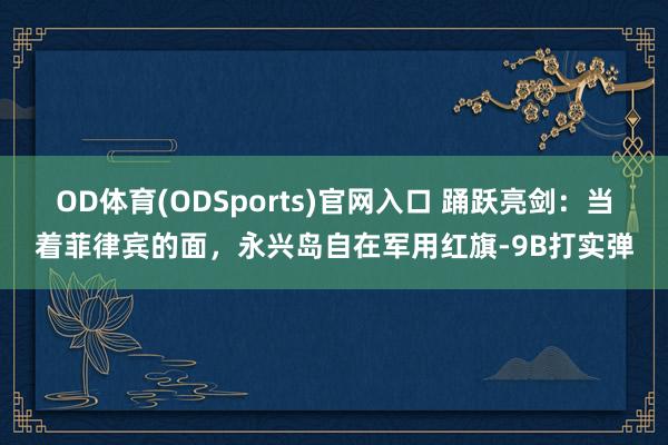 OD体育(ODSports)官网入口 踊跃亮剑：当着菲律宾的面，永兴岛自在军用红旗-9B打实弹